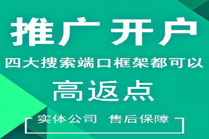 SEM主管实战：案例分析与优化策略